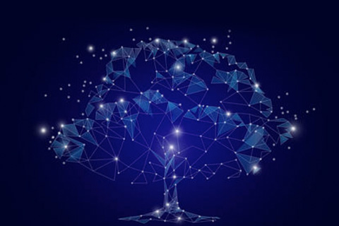 Products solution